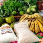 agricultura-familiar-foto-ed-santos-acorda-cidade