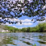 agua-lago-Parque-da-Lagoa-Foto-Valto-Novaes-