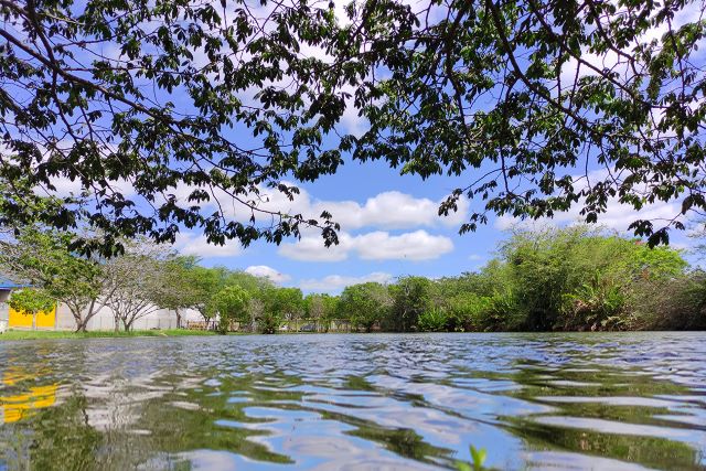 agua-lago-Parque-da-Lagoa-Foto-Valto-Novaes-