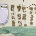 apreensao-maconha-drogas-foto-divulgacao