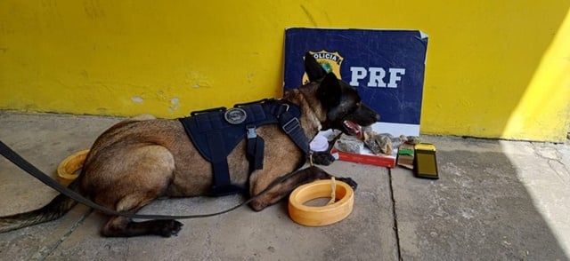 apreensao_prf_feiradesantana