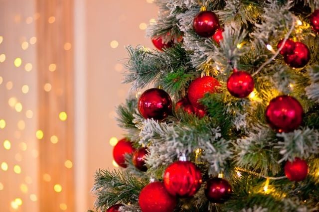 arvore-de-natal