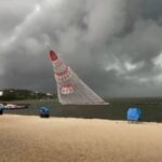 arvore-flutuante-maraca-rio-de-janeiro
