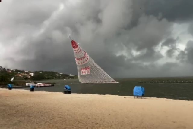 arvore-flutuante-maraca-rio-de-janeiro