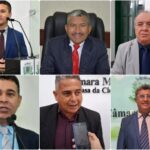 collage-vereadores