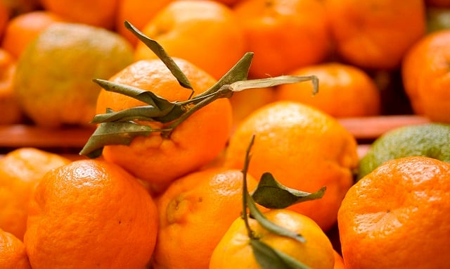 frutas_agbrasil