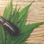 medicamento-natural-cannabis-maconha-oleo-foto-freepik