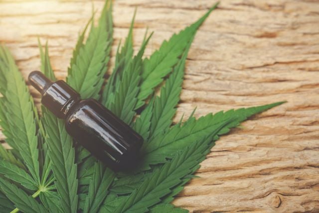 medicamento-natural-cannabis-maconha-oleo-foto-freepik