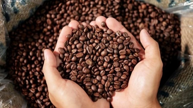 Cafe-producao