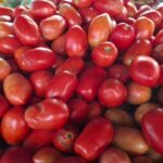 Tomate-Feirinha-da-Estacao-Nova-ft-paulo-jose-acorda-cidade1
