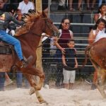 campeoanto-team-santo-antonio-de-jesus-saj-foto-divulgacao-cavalo