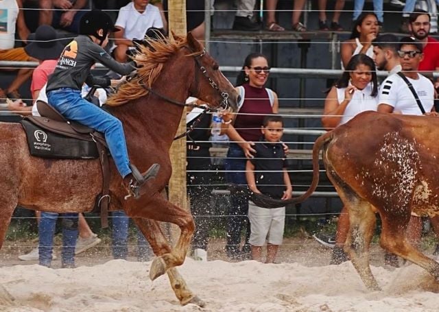 campeoanto-team-santo-antonio-de-jesus-saj-foto-divulgacao-cavalo