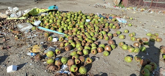 descartedecoco_pj_acordacidade-1