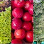 frutas-e-hortalicas-Feirinha-da-Estacao-Nova-paulo-joe-acorda-cidade