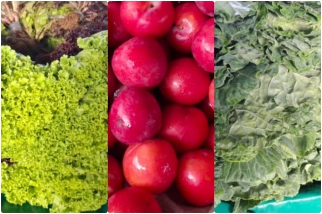 frutas-e-hortalicas-Feirinha-da-Estacao-Nova-paulo-joe-acorda-cidade
