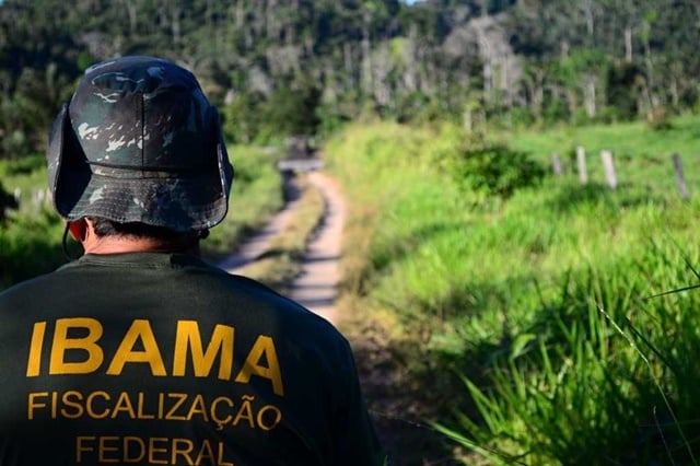 ibama_foto_divulgacao