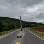 oste-no-meio-da-rodovia