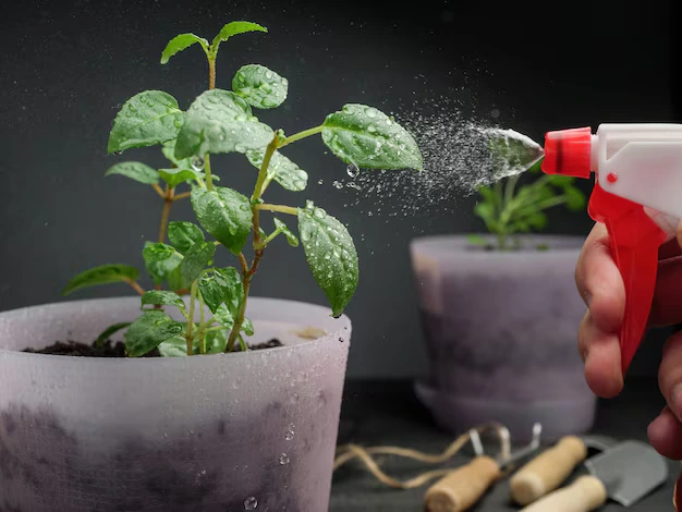 5UWk6Iws-Ja-usou-bicarbonato-de-sodio-nas-plantas-6-motivos-para-comecar-hoje-mesmo-1
