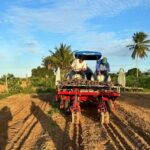 Agricultura-Foto-Divulgacao-CAR