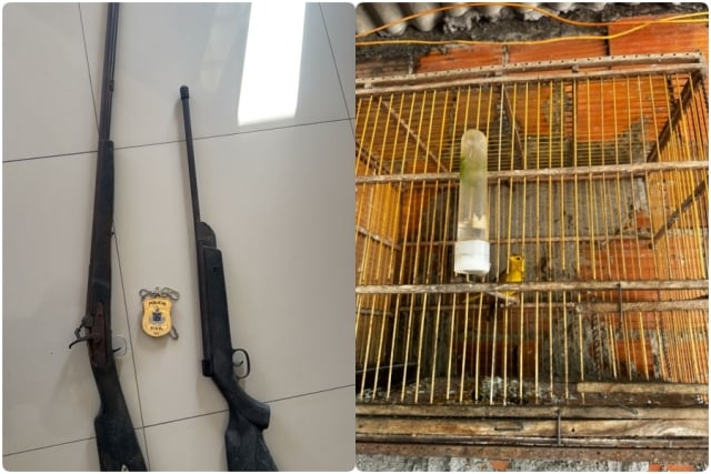 Apreensao-de-armas-e-animais-em-Santo-Estevao