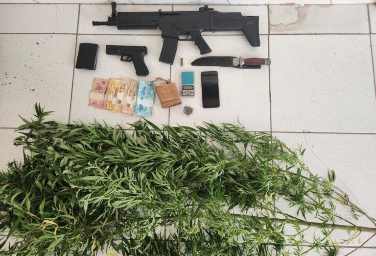 Apreensao-de-simulacro-e-pes-de-maconha