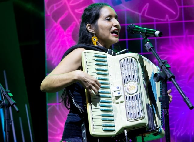Festival-de-Sanfoneiros3