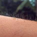 GVGags1r-Por-que-sentimos-arrepios-A-ciencia-por-tras-desse-fenomeno-2