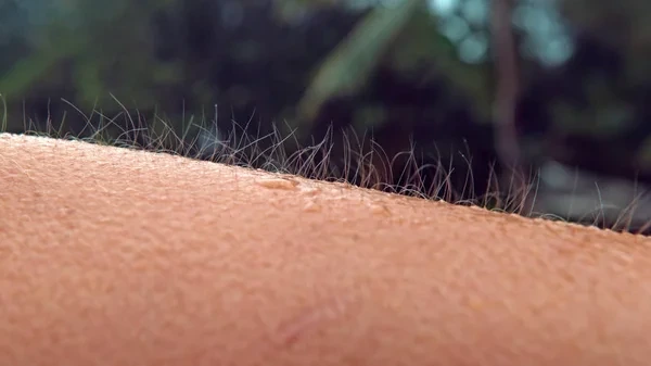 GVGags1r-Por-que-sentimos-arrepios-A-ciencia-por-tras-desse-fenomeno-2