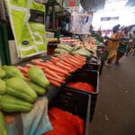 alimento-legumes-foto-SEI-BA