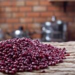 feijao-grao-agricultura-foto-freepik