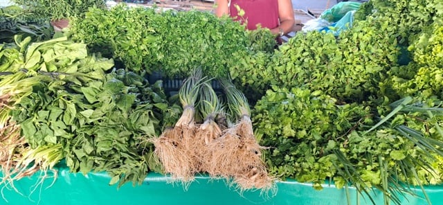 hortalicas_verduras_pj_acordacidade-6