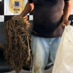mS8dTsIP-pesdemaconha_acheisudoeste