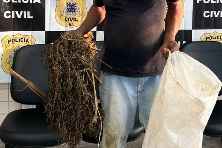 mS8dTsIP-pesdemaconha_acheisudoeste