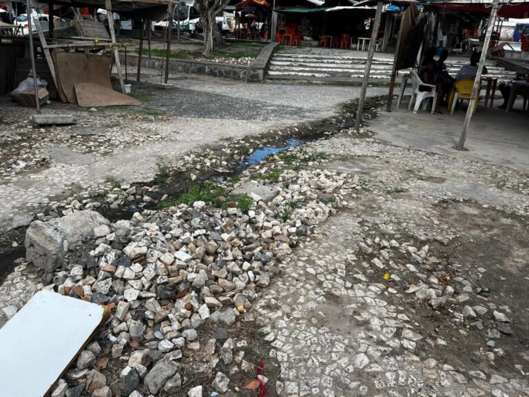 praca-do-tropeiro