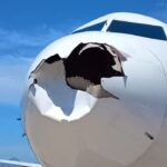 voo-latam-colisao-passaro