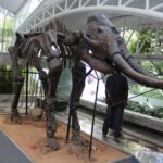 Museu-Geologico-da-Bahia-MGB