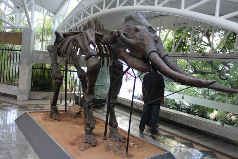 Museu-Geologico-da-Bahia-MGB