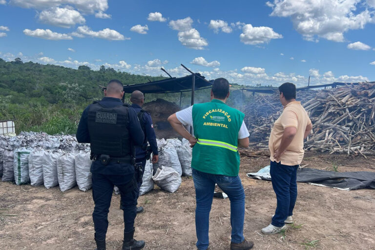 Operacao-da-SEMMAM-em-carvoaria-clandestina-Foto-Divulgacao-SEMMAM-17