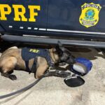 PRF-apreende-droga-garrafa-