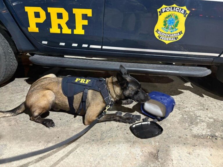 PRF-apreende-droga-garrafa-