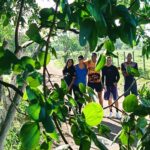 caminhada-ecologica-matinha-3