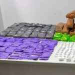 cao-farejador-localiza-drogas-em-onibus-