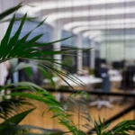 jsfAqKba-6-plantas-para-escritorio-que-nao-precisam-de-sol-pleno-2