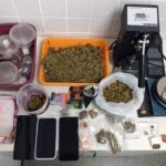 maconha-apreendida-