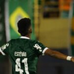 palmeiras_destaque_foto-reproducao-site-oficial-do-palmeiras-estevao