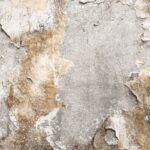 parede-com-mofo-e-fungos-foto-freepik