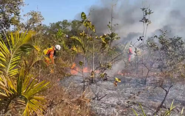 queimadas-na-Bahia