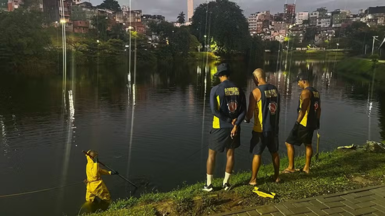 y69LNcuI-diquedotororo_foto_redessociais