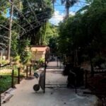 zoologico-de-salvador-