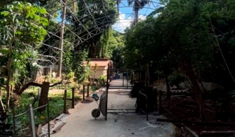 zoologico-de-salvador-